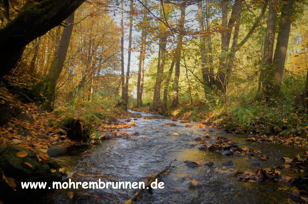 Hotel & Cafe Mohrenbrunnen アイゼンベルク エクステリア 写真